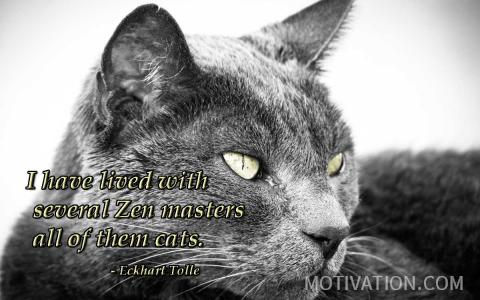Image for Quote by Eckhart Tolle