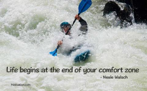 Image for Quote by Neale Walsch