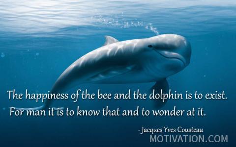 Image for Quote by Jacques  Yves Cousteau