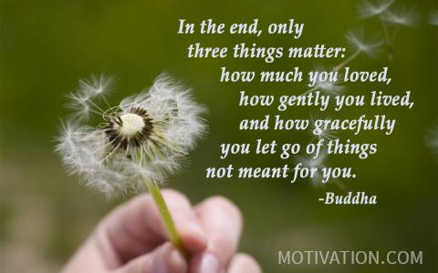 Image for Quote by  Buddha