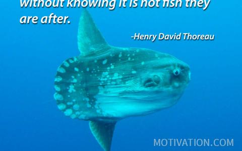 Image for Quote by Henry David Thoreau
